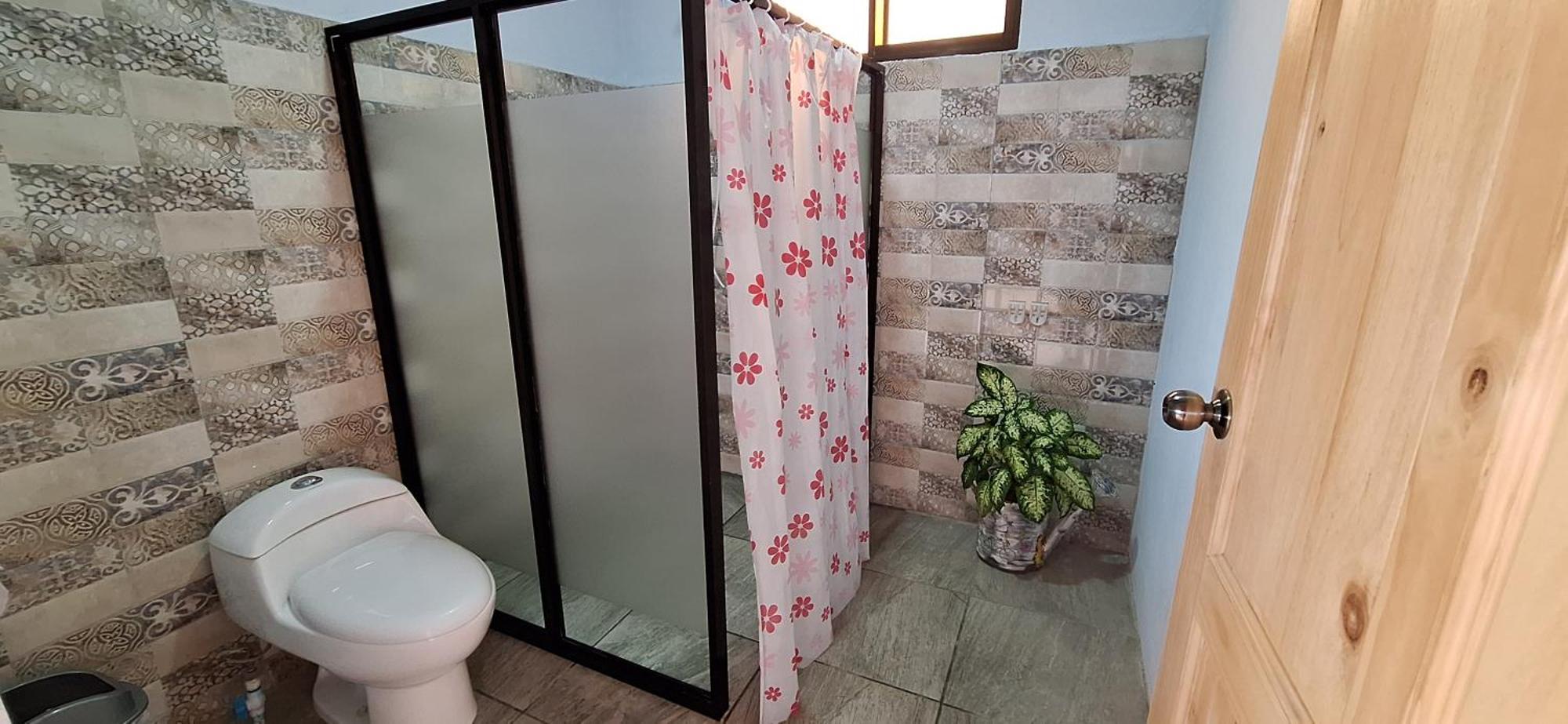Monteverde Cecropia Paradise Room photo